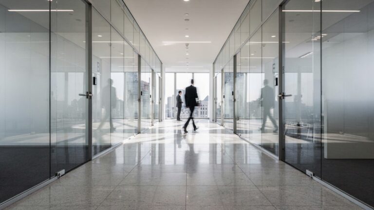 Защита активов от субсидиарной ответственности в 2026 году